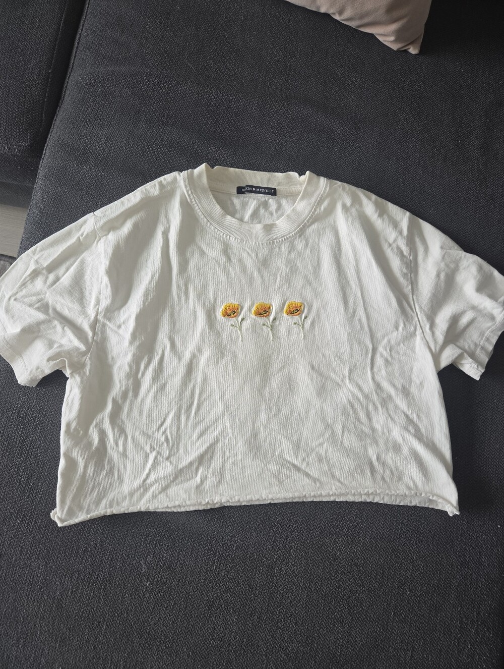 Brandy Melville Cropped Whote T-Shirt With Floral Embroidery